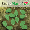 Clips StuckPlant™ - Exalte a Beleza De Suas Plantas