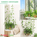 Clips StuckPlant™ - Exalte a Beleza De Suas Plantas