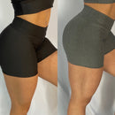 2 Shorts Modeladores zero transparência FITNESS